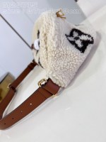 Louis Vuitton Bumbag Medium - Image 4