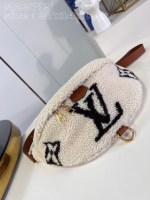 Louis Vuitton Bumbag Medium