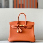Hermes Birkin 25
