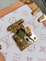 Louis Vuitton Camera Box - Image 3