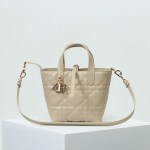Small Dior Toujours Vertical Tote Bag