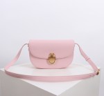 Medium Dior Médaillon Flap Bag
