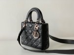 Lady Dior - Image 9