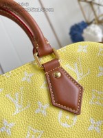 Louis Vuitton Speedy P9 Bandoulière 25 Bag - Image 17