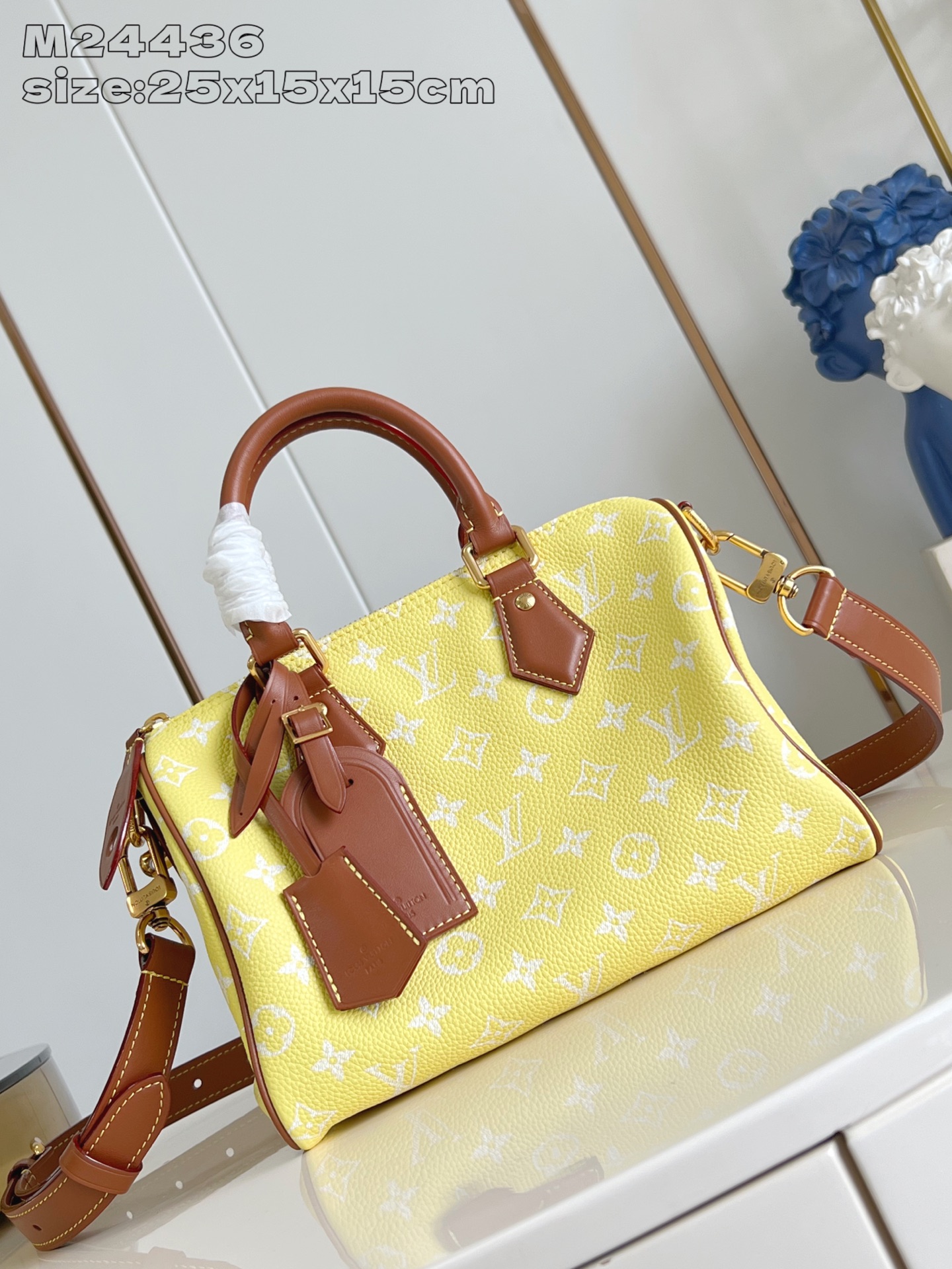 HSC-7F313EF9F223 Louis Vuitton Speedy P9 Bandoulière 25 Bag - Image 1