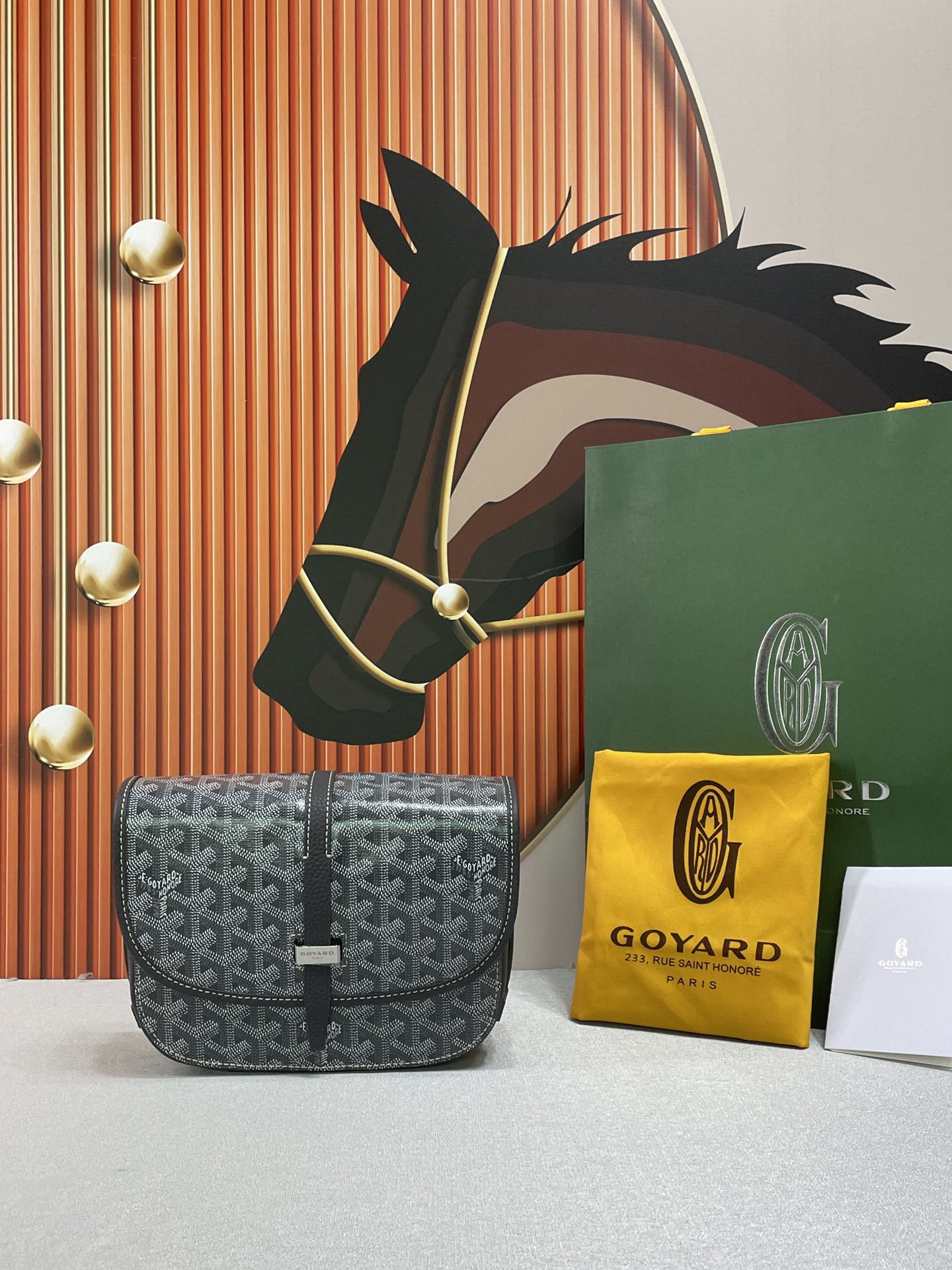 HSC-8C96C25F1E09 Goyard Belvedere PM Bag - Image 1