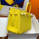 Hermes Birkin 25 - Image 2