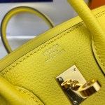 Hermes Birkin 25 - Image 4