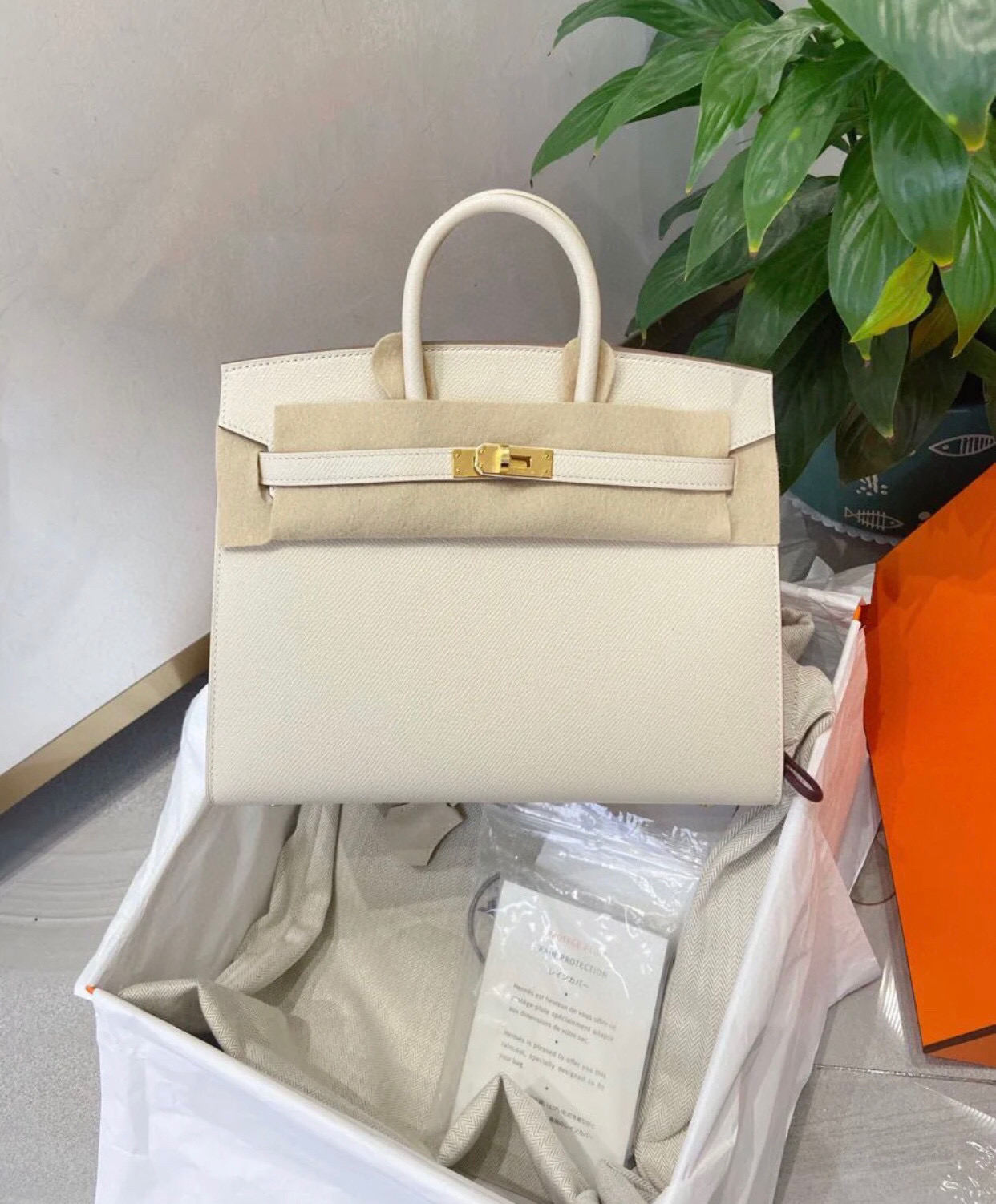 HSC-92EF001E6AD9 Hermes Birkin 25 - Image 1