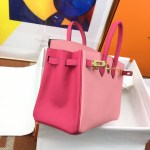 Hermes Birkin 25 - Image 2
