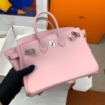 Hermes Birkin 25 - Image 5
