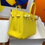 Hermes Birkin 25 - Image 6