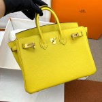 Hermes Birkin 25 - Image 8
