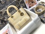 Dior Medium Lady D-Lite bag