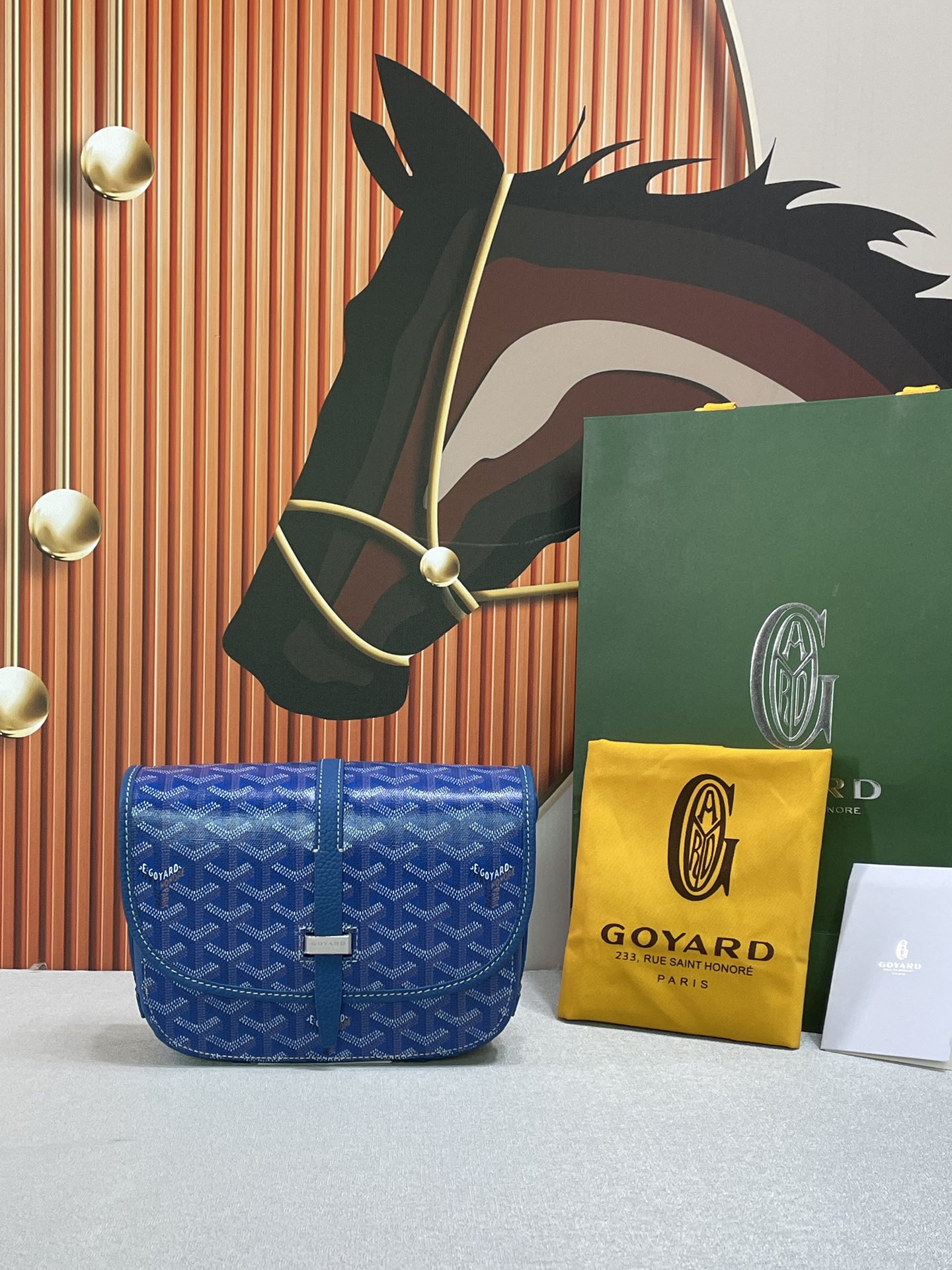 HSC-9C07BBC651FC Goyard Belvedere PM Bag - Image 1