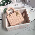 Lady Dior