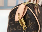 Louis Vuitton Speedy 25 - Image 3