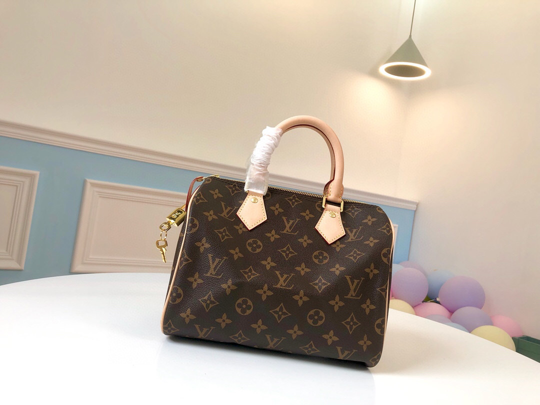 HSC-A91DEDA07EDA Louis Vuitton Speedy 25 - Image 1