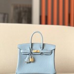 Hermes Birkin 25