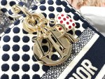 Dior Medium Lady D-Lite bag - Image 6