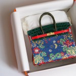 Hermes Birkin 25