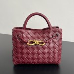 Bottega Veneta Mini Andiamo
