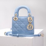Microbolso Lady Dior