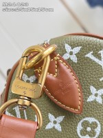 Louis Vuitton Speedy P9 Bandoulière 25 - Image 14