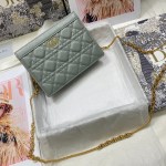 DIOR CARO ZIPPED POUCH WITH CHAIN