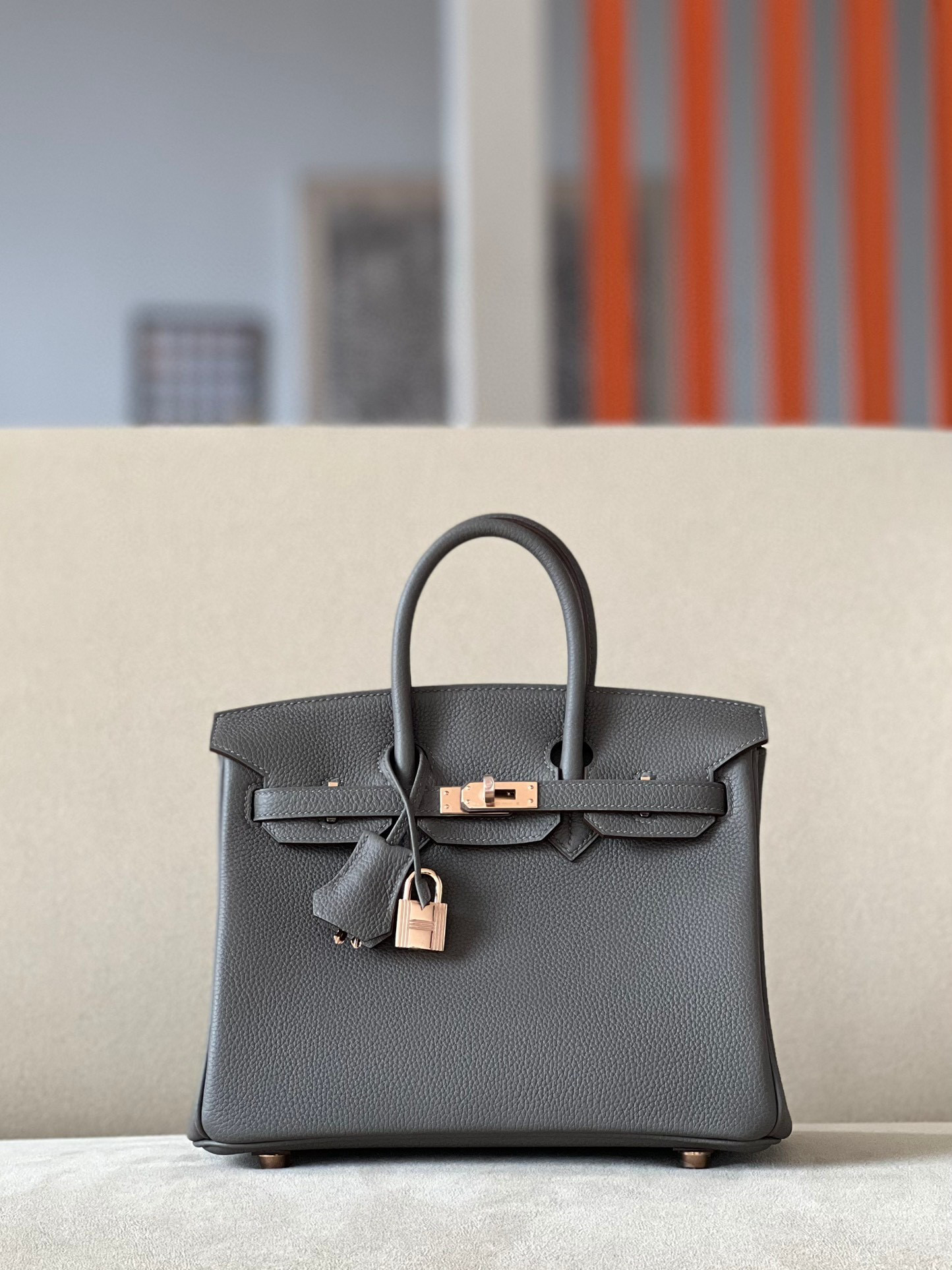 HSC-CBAAE5102094 Hermes Birkin 25 - Image 1