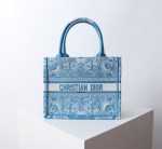 Small Dior Book Tote