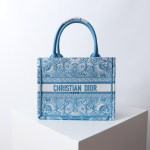 Small Dior Book Tote