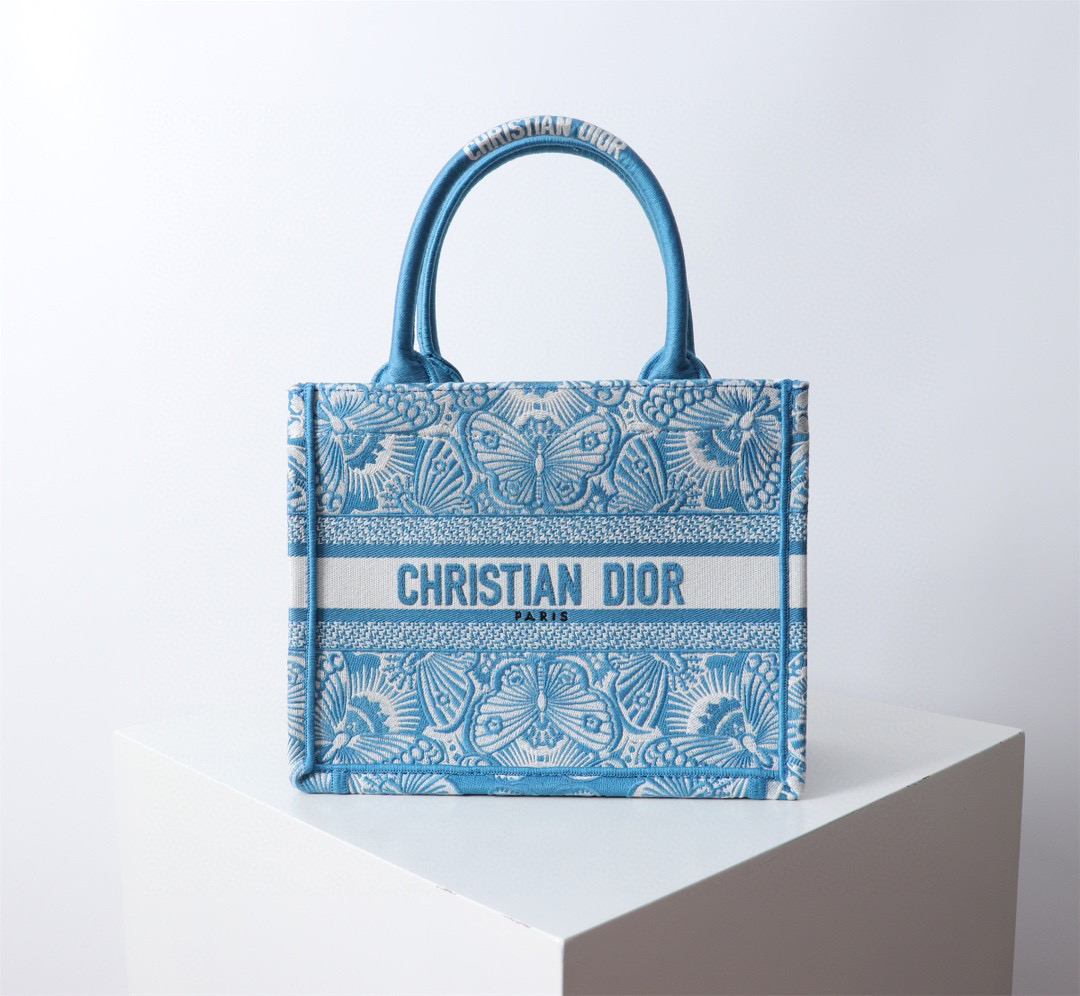 HSC-CE9FCE54A04E Small Dior Book Tote - Image 1