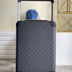 Louis Vuitton Travel Box