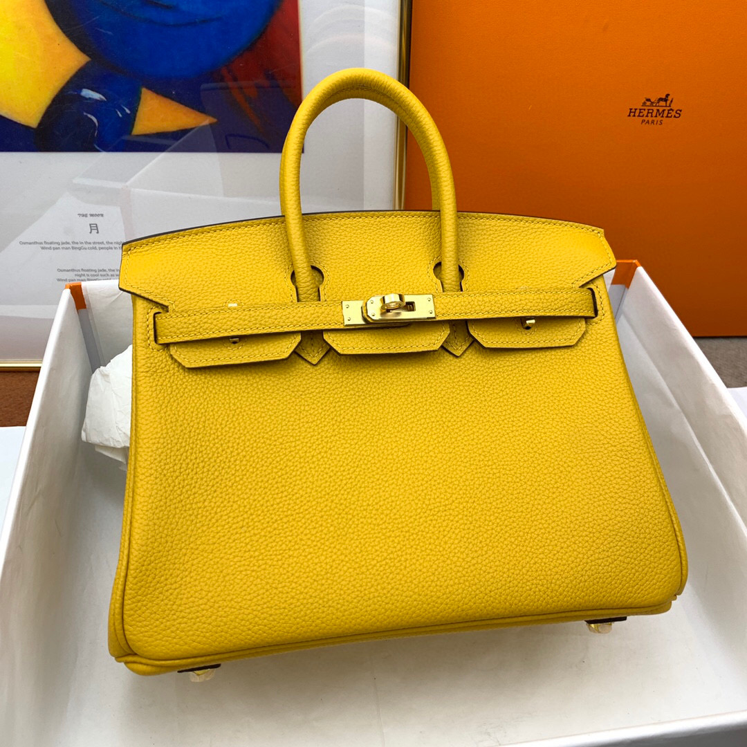 HSC-D3D1C775665F Hermes Birkin 25 - Image 1