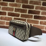 Gucci Ophidia GG Belt Bag - Image 8