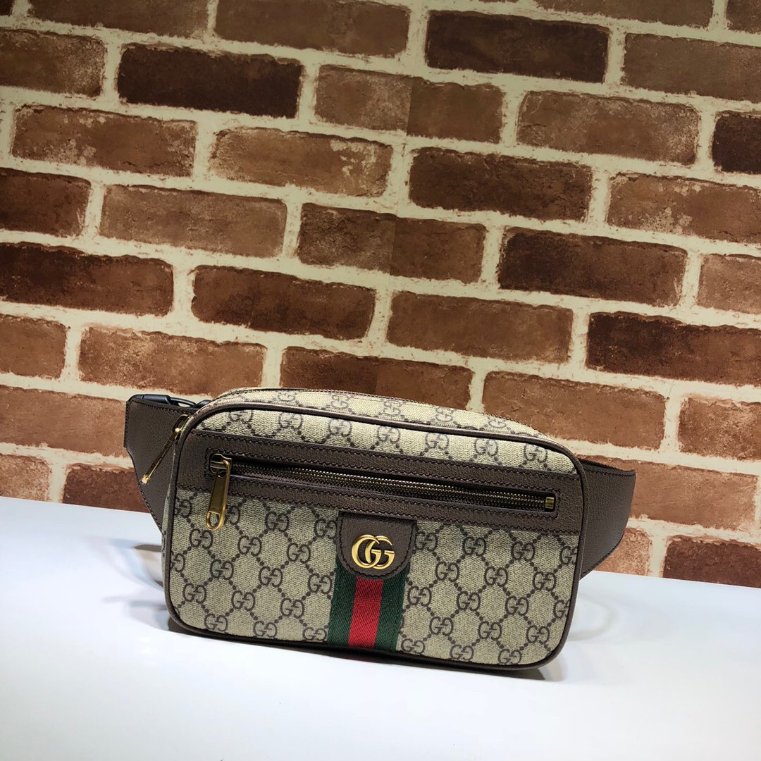 HSC-D8EEACAF5B0E Gucci Ophidia GG Belt Bag - Image 1