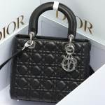 Medium Lady Dior Bag