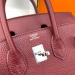 Hermes Birkin 25 - Image 4