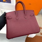 Hermes Birkin 25 - Image 6