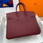 Hermes Birkin 25 - Image 9