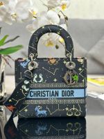 Dior Medium Lady D-Lite bag