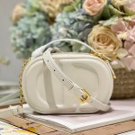 DIOR CD SIGNATURE OVAL CAMERA BAG