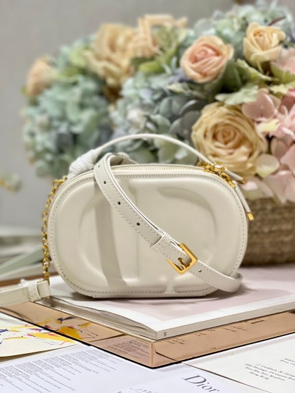 DIOR CD SIGNATURE OVAL CAMERA BAG
